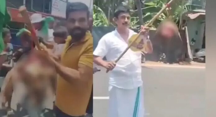 വിജയാഹ്ലാദത്തിനിടെ ആടിന്റെ തലയറുത്ത് പ്രദർശിപ്പിച്ച സാംഭവം ; രണ്ട് മുസ്ലിംലീഗ് പ്രവർത്തകർ അറസ്റ്റിൽ വിജയാഹ്ലാദത്തിനിടെ ആടിന്റെ തലയറുത്ത് പ്രദർശിപ്പിച്ച സാംഭവം ; രണ്ട് മുസ്ലിംലീഗ് പ്രവർത്തകർ അറസ്റ്റിൽ