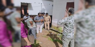 ഇതര സംസ്ഥാന തൊഴിലാളികളുടെ താമസസ്ഥലത്തു നിന്നും കഞ്ചാവ് ചെടികൾ കണ്ടെത്തി