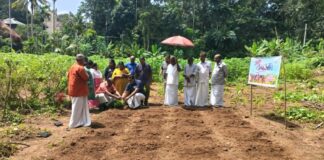 ഓണത്തിന് പൂക്കൾ വിരിയിക്കാൻ റാന്നി ; ‘നിറപൊലിമ 2026’ പദ്ധതിക്ക് തുടക്കമായി