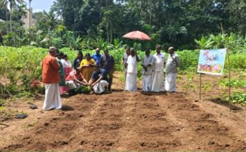 ഓണത്തിന് പൂക്കൾ വിരിയിക്കാൻ റാന്നി ; ‘നിറപൊലിമ 2026’ പദ്ധതിക്ക് തുടക്കമായി