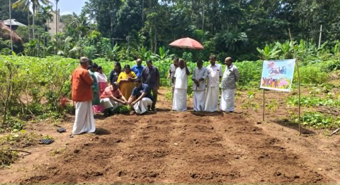 ഓണത്തിന് പൂക്കൾ വിരിയിക്കാൻ റാന്നി ; ‘നിറപൊലിമ 2026’ പദ്ധതിക്ക് തുടക്കമായി ഓണത്തിന് പൂക്കൾ വിരിയിക്കാൻ റാന്നി ; ‘നിറപൊലിമ 2026’ പദ്ധതിക്ക് തുടക്കമായി