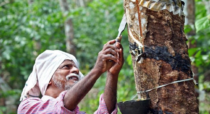 റബർ കർഷകർക്ക് ഇത് സന്തോഷ വാർത്ത , താങ്ങുവില വർദ്ധനവ് പ്രഖ്യാപിച്ച് സംസ്ഥാന ബജറ്റ് റബർ കർഷകർക്ക് ഇത് സന്തോഷ വാർത്ത , താങ്ങുവില വർദ്ധനവ് പ്രഖ്യാപിച്ച് സംസ്ഥാന ബജറ്റ്