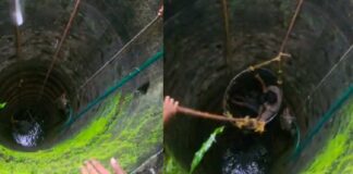 ചാലക്കുടിയില് അമ്മയും മകളും കിണറ്റില് വീണു