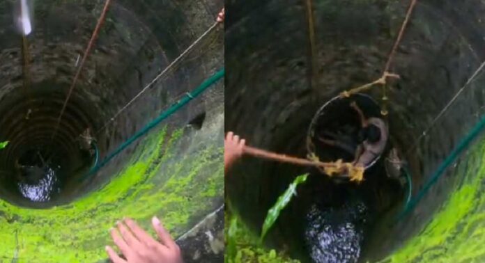 ചാലക്കുടിയില് അമ്മയും മകളും കിണറ്റില് വീണു ചാലക്കുടിയില് അമ്മയും മകളും കിണറ്റില് വീണു