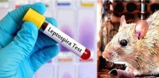 കൊല്ലത്ത് വീണ്ടും എലിപ്പനി മരണം ; ജില്ലയില് വിവിധ ആശുപത്രികളിലായി 7 പേര് ചികിത്സയില്