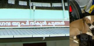 സ്കൂളിനകത്തും പുറത്തും തെരുവുനായക്കൂട്ടം ; തൃശൂർ ചൂണ്ടൽ സ്കൂളിന് അവധി പ്രഖ്യാപിച്ച് അധികൃതർ