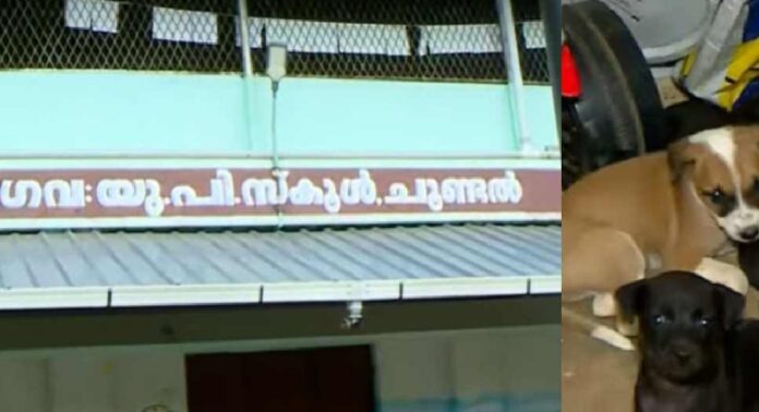 സ്കൂളിനകത്തും പുറത്തും തെരുവുനായക്കൂട്ടം ; തൃശൂർ ചൂണ്ടൽ സ്കൂളിന് അവധി പ്രഖ്യാപിച്ച് അധികൃതർ സ്കൂളിനകത്തും പുറത്തും തെരുവുനായക്കൂട്ടം ; തൃശൂർ ചൂണ്ടൽ സ്കൂളിന് അവധി പ്രഖ്യാപിച്ച് അധികൃതർ