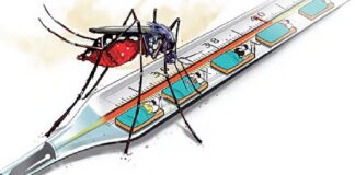 അട്ടപ്പാടിയിൽ ചരിത്രത്തിലാദ്യമായി ഡെങ്കിപ്പനി പടരുന്നു ; 40 ദിവസത്തിനിടെ 24 പേർക്ക് രോഗബാധ