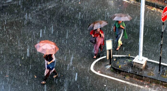 തീവ്രമഴ മുന്നറിയിപ്പ് ; പത്തനംതിട്ട മുതല് വയനാട് വരെ യെല്ലോ അലര്ട്ട് തീവ്രമഴ മുന്നറിയിപ്പ് ; പത്തനംതിട്ട മുതല് വയനാട് വരെ യെല്ലോ അലര്ട്ട്