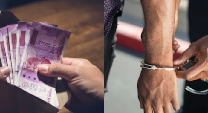 സർക്കാരിനെ പറ്റിച്ച് ലക്ഷങ്ങൾ തട്ടി ; നിർമ്മിതി കേന്ദ്ര മുൻ റീജിയണൽ എഞ്ചിനീയർക്ക് 12 വർഷം തടവ് സർക്കാരിനെ പറ്റിച്ച് ലക്ഷങ്ങൾ തട്ടി ; നിർമ്മിതി കേന്ദ്ര മുൻ റീജിയണൽ എഞ്ചിനീയർക്ക് 12 വർഷം തടവ്