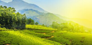 പ്ലാസ്റ്റിക്കിനെതിരെ കർശന നടപടി ; മൂന്നാറിൽ നാളെ മുതൽ കർശന പരിശോധന