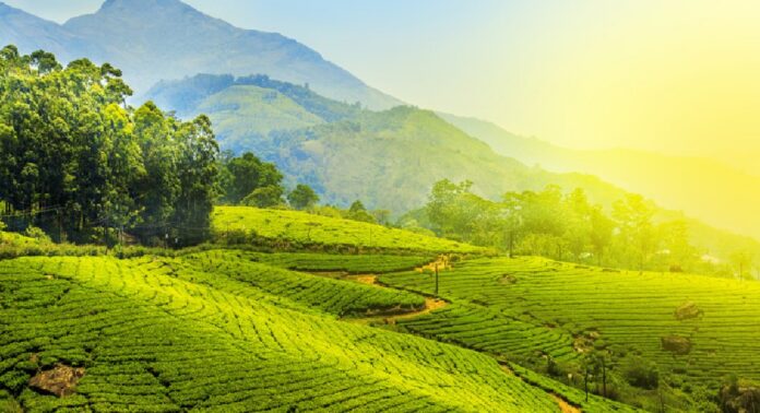 പ്ലാസ്റ്റിക്കിനെതിരെ കർശന നടപടി ; മൂന്നാറിൽ നാളെ മുതൽ കർശന പരിശോധന പ്ലാസ്റ്റിക്കിനെതിരെ കർശന നടപടി ; മൂന്നാറിൽ നാളെ മുതൽ കർശന പരിശോധന