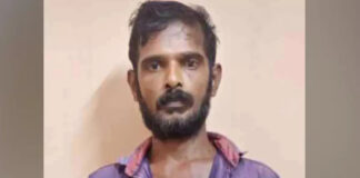 വീട്ടുവളപ്പിൽ കഞ്ചാവ് ചെടി നട്ടുവളർത്തുകയും ഉണക്ക കഞ്ചാവ് കൈവശം സൂക്ഷിക്കുകയും ചെയ്തു ; യുവാവ് അറസ്റ്റിൽ