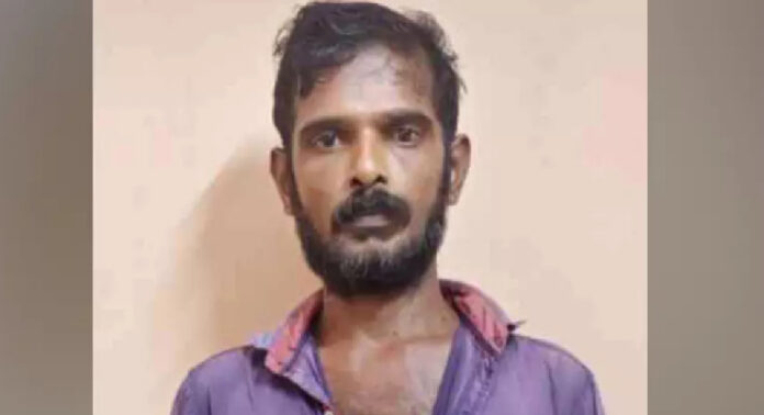 വീട്ടുവളപ്പിൽ കഞ്ചാവ് ചെടി നട്ടുവളർത്തുകയും ഉണക്ക കഞ്ചാവ് കൈവശം സൂക്ഷിക്കുകയും ചെയ്തു ; യുവാവ് അറസ്റ്റിൽ വീട്ടുവളപ്പിൽ കഞ്ചാവ് ചെടി നട്ടുവളർത്തുകയും ഉണക്ക കഞ്ചാവ് കൈവശം സൂക്ഷിക്കുകയും ചെയ്തു ; യുവാവ് അറസ്റ്റിൽ