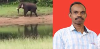 കൃഷിയിടത്തിലെത്തിയ കാട്ടാനയെ ഓടിക്കാൻ ശ്രമം ; ആനയുടെ കുത്തേറ്റ് യുവാവിന് ദാരുണാന്ത്യം
