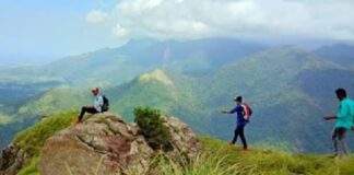 മുന്നറിയിപ്പ് ലംഘിച്ച് അതിക്രമിച്ചു കടന്ന യുവാക്കൾ വനത്തിനുളളിൽ കുടുങ്ങി