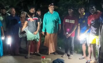 ഒരു പാമ്പിനെ തേടിപ്പോയി ; കിട്ടിയത് മൂന്ന് പെരുമ്പാമ്പുകളെ! കൈയടി നേടി സർപ്പ വോളന്റിയർ മാത്തുക്കുട്ടി 