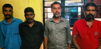വീട്ടിമരം മുറിച്ചു കടത്താനുള്ള ശ്രമം ; പിടി വീണു