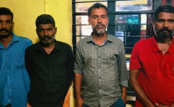 വീട്ടിമരം മുറിച്ചു കടത്താനുള്ള ശ്രമം ; പിടി വീണു