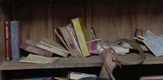 പാലക്കാട് വിക്ടോറിയ കോളജ് ലൈബ്രറിയില് കൂറ്റന് മൂര്ഖന് പാമ്പ്