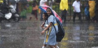 കാലവർഷം എത്തിയതോടെ ജില്ലാ കളക്ടർമാരുടെ ഫെയ്സ്ബുക്ക് പേജുകളിൽ കമൻ്റ് മഴ