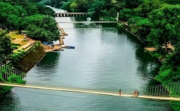 മലമ്പുഴ ഡാമിൽ സുഹൃത്തുക്കൾക്കൊപ്പം കുളിക്കാനിറങ്ങിയ കോളേജ് വിദ്യാർത്ഥിയെ കാണാതായി