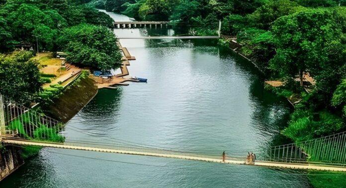 മലമ്പുഴ ഡാമിൽ സുഹൃത്തുക്കൾക്കൊപ്പം കുളിക്കാനിറങ്ങിയ കോളേജ് വിദ്യാർത്ഥിയെ കാണാതായി മലമ്പുഴ ഡാമിൽ സുഹൃത്തുക്കൾക്കൊപ്പം കുളിക്കാനിറങ്ങിയ കോളേജ് വിദ്യാർത്ഥിയെ കാണാതായി