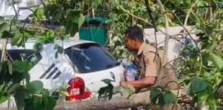 വിഴിഞ്ഞത്ത് ഓടിക്കൊണ്ടിരുന്ന കാറിന് മുകളിലേക്ക് കൂറ്റൻ മരം കടപുഴകി വീണ് വൻ അപകടം
