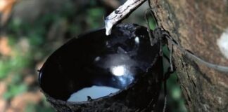 ആഭ്യന്തര വിപണിയിൽ റെക്കോർഡ് തൊട്ട് റബർ വില
