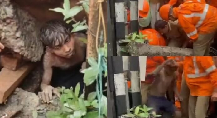 കോഴിക്കോട്ട് ഓടയ്ക്കുള്ളിൽ രണ്ടുദിവസം കുടുങ്ങിയ യുവാവിനെ ഫയർ ഫോഴ്സ് പുറത്തെടുത്തു കോഴിക്കോട്ട് ഓടയ്ക്കുള്ളിൽ രണ്ടുദിവസം കുടുങ്ങിയ യുവാവിനെ ഫയർ ഫോഴ്സ് പുറത്തെടുത്തു
