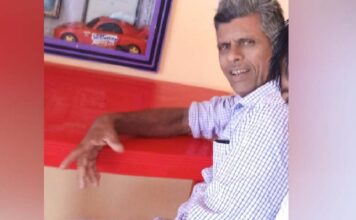 കാസര്കോട് തെങ്ങ് വീണ് വയോധികന് ദാരുണാന്ത്യം