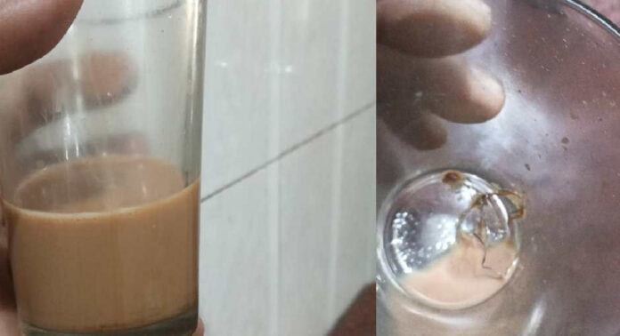 ചായയില് നിന്നും കിട്ടിയത് സ്ക്രബ്ബറിന്റെ ഭാഗം , വര്ക്കലയിലെ ഹോട്ടല് അടപ്പിച്ച് നഗരസഭ ചായയില് നിന്നും കിട്ടിയത് സ്ക്രബ്ബറിന്റെ ഭാഗം , വര്ക്കലയിലെ ഹോട്ടല് അടപ്പിച്ച് നഗരസഭ