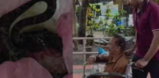 തോട്ടത്തിൽ നിന്ന് വാഴക്കുല വെട്ടുന്നതിനിടെ പാമ്പുകടിയേറ്റു ; കടിച്ച പാമ്പുമായി ആശുപത്രിയിലെത്തി വയോധികൻ