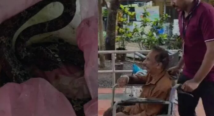 തോട്ടത്തിൽ നിന്ന് വാഴക്കുല വെട്ടുന്നതിനിടെ പാമ്പുകടിയേറ്റു ; കടിച്ച പാമ്പുമായി ആശുപത്രിയിലെത്തി വയോധികൻ തോട്ടത്തിൽ നിന്ന് വാഴക്കുല വെട്ടുന്നതിനിടെ പാമ്പുകടിയേറ്റു ; കടിച്ച പാമ്പുമായി ആശുപത്രിയിലെത്തി വയോധികൻ