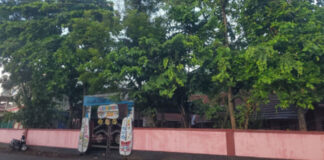 ആനന്ദപ്പള്ളി ഗവണ്മെന്റ് എല്.പി സ്കൂള് പരിസരത്തെ മരങ്ങള് അപകട ഭീഷണിയാകുന്നു