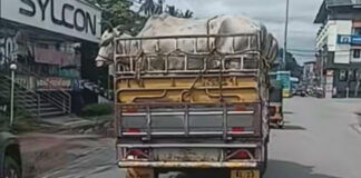 അറവ് ശാലയിലേക്ക് കൊണ്ടുപോകുന്ന മൃഗങ്ങളോട് ക്രൂരത ; കണ്ണടച്ച് പത്തനംതിട്ടയിലെ ഉദ്യോഗസ്ഥര്