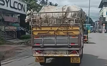 അറവ് ശാലയിലേക്ക് കൊണ്ടുപോകുന്ന മൃഗങ്ങളോട് ക്രൂരത ; കണ്ണടച്ച് പത്തനംതിട്ടയിലെ ഉദ്യോഗസ്ഥര്