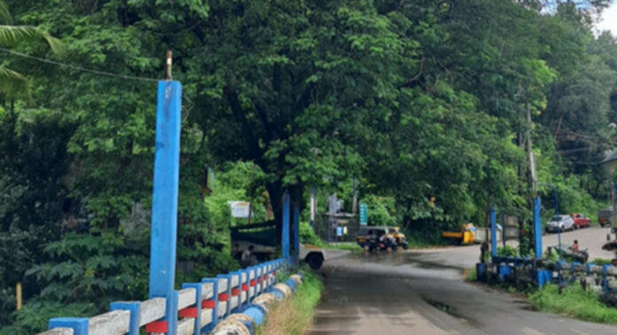 അത്തിക്കയം പാലത്തിന് സമീപം അപകടഭീഷണിയുയര്ത്തി കൂറ്റന് വാകമരം അത്തിക്കയം പാലത്തിന് സമീപം അപകടഭീഷണിയുയര്ത്തി കൂറ്റന് വാകമരം
