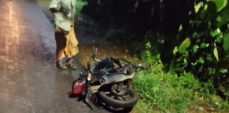 അടൂരില് കാട്ടുപന്നിയുടെ ആക്രമണത്തില് ബൈക്ക് യാത്രക്കാരന് പരിക്കേറ്റു
