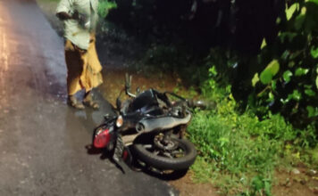 അടൂരില് കാട്ടുപന്നിയുടെ ആക്രമണത്തില് ബൈക്ക് യാത്രക്കാരന് പരിക്കേറ്റു