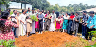 നാറാണംമൂഴി ഗ്രാമപഞ്ചായത്തില് പുഷ്പ കൃഷി ആരംഭിച്ചു