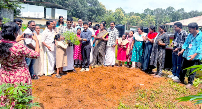 നാറാണംമൂഴി ഗ്രാമപഞ്ചായത്തില് പുഷ്പ കൃഷി ആരംഭിച്ചു നാറാണംമൂഴി ഗ്രാമപഞ്ചായത്തില് പുഷ്പ കൃഷി ആരംഭിച്ചു