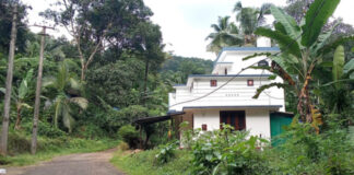തണ്ണിത്തോട് ബസ് സ്റ്റാന്റ് – മീന്മൂട്ടിപ്പടി റോഡില് യാത്രക്കാര്ക്ക് ഭീഷണിയായി കേബിള് വയറുകള്