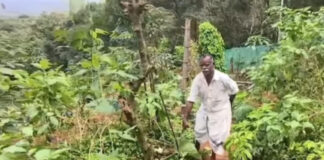തണ്ണിത്തോട്ടില് കിണറ്റില് വീണ കാട്ടാനയെ രക്ഷപെടുത്തിയപ്പോള് സമീപത്തെ കര്ഷകന്റെ കൃഷിയും സോളാര് വേലിയും നശിപ്പിച്ചതായി പരാതി