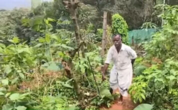 തണ്ണിത്തോട്ടില് കിണറ്റില് വീണ കാട്ടാനയെ രക്ഷപെടുത്തിയപ്പോള് സമീപത്തെ കര്ഷകന്റെ കൃഷിയും സോളാര് വേലിയും നശിപ്പിച്ചതായി പരാതി