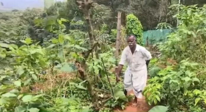 തണ്ണിത്തോട്ടില് കിണറ്റില് വീണ കാട്ടാനയെ രക്ഷപെടുത്തിയപ്പോള് സമീപത്തെ കര്ഷകന്റെ കൃഷിയും സോളാര് വേലിയും നശിപ്പിച്ചതായി പരാതി തണ്ണിത്തോട്ടില് കിണറ്റില് വീണ കാട്ടാനയെ രക്ഷപെടുത്തിയപ്പോള് സമീപത്തെ കര്ഷകന്റെ കൃഷിയും സോളാര് വേലിയും നശിപ്പിച്ചതായി പരാതി