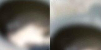 പാലക്കാട് കുടിവെള്ള ടാങ്കിൽ പട്ടിയുടെ ജഡം ; പോലീസിൽ പരാതി നൽകി നാട്ടുകാർ