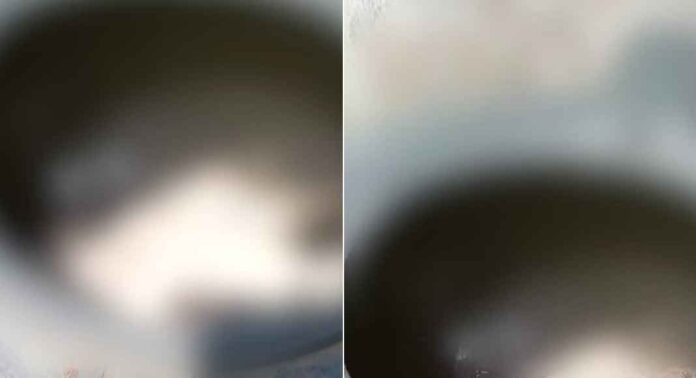 പാലക്കാട് കുടിവെള്ള ടാങ്കിൽ പട്ടിയുടെ ജഡം ; പോലീസിൽ പരാതി നൽകി നാട്ടുകാർ പാലക്കാട് കുടിവെള്ള ടാങ്കിൽ പട്ടിയുടെ ജഡം ; പോലീസിൽ പരാതി നൽകി നാട്ടുകാർ