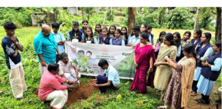 ഇടപ്പരിയാരം എസ്എൻഡിപി ഹൈസ്കൂളില് പരിസ്ഥിതി ദിനാചരണവും ഫലവൃക്ഷ തൈ നടീലും നടത്തി