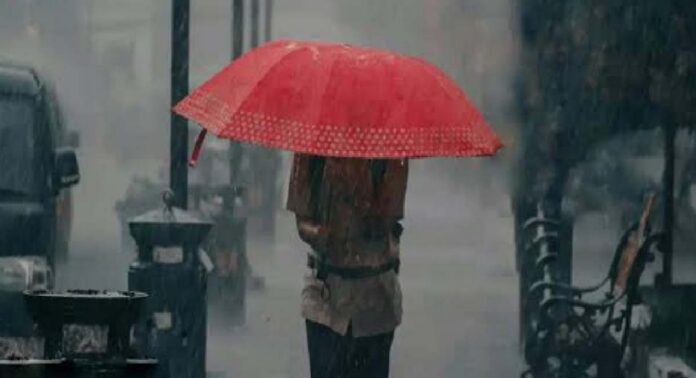 മഴ മുന്നറിയിപ്പിൽ വീണ്ടും മാറ്റം ; തിരുവനന്തപുരം, കൊല്ലം ജില്ലകളിൽ കൂടി ഓറഞ്ച് അലേർട്ട് മഴ മുന്നറിയിപ്പിൽ വീണ്ടും മാറ്റം ; തിരുവനന്തപുരം, കൊല്ലം ജില്ലകളിൽ കൂടി ഓറഞ്ച് അലേർട്ട്